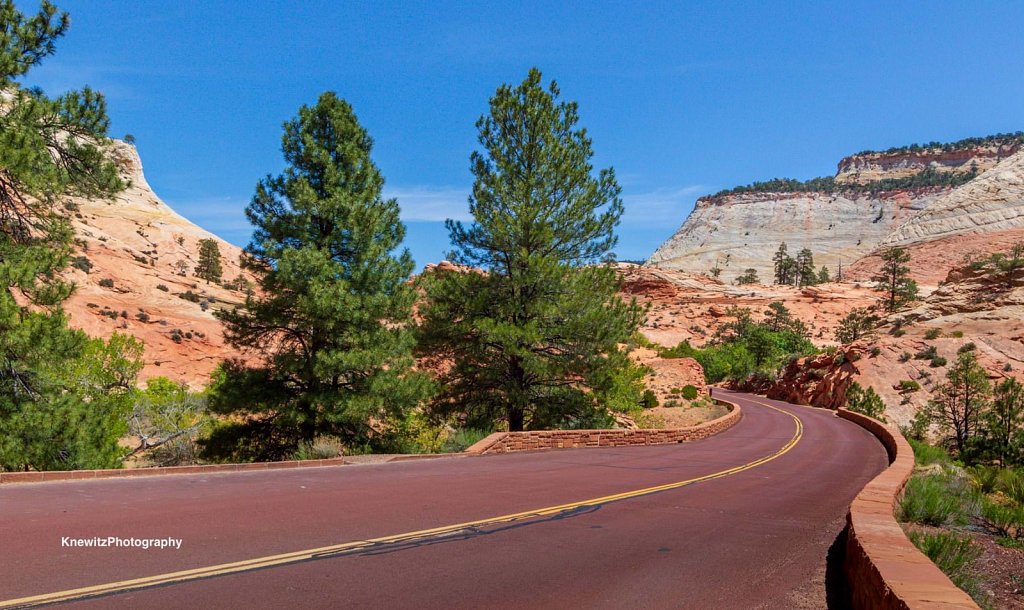Cruising Zion National Park