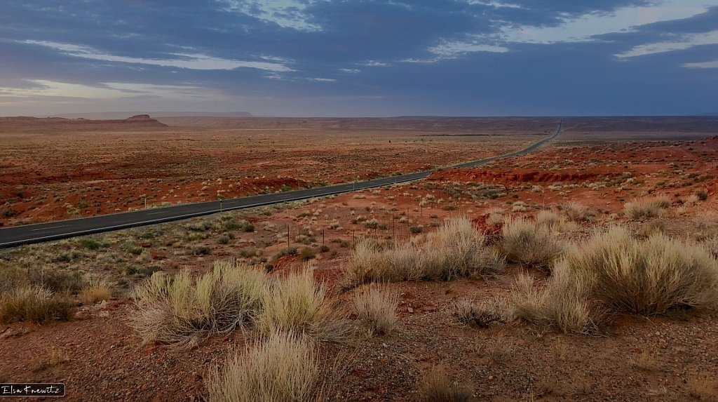 The Long Way Home