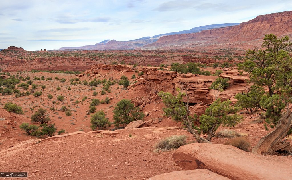 Red Earth at "Grand Staircase"