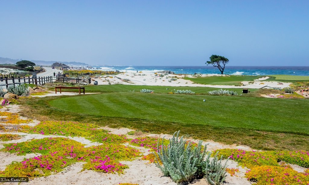 Monterey Golf Course
