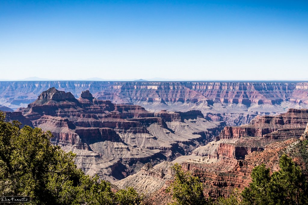 The Famous North Rim