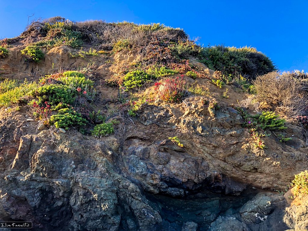 California Coastline