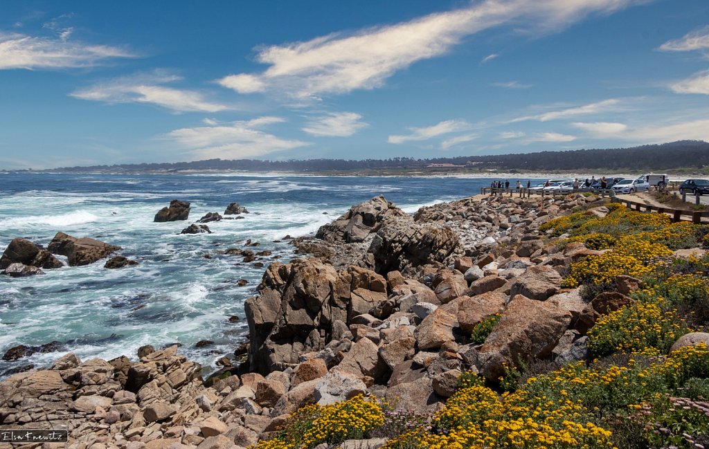 Carmel Beach in the Distance