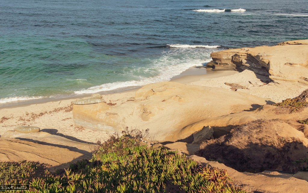 La Jolla Cove