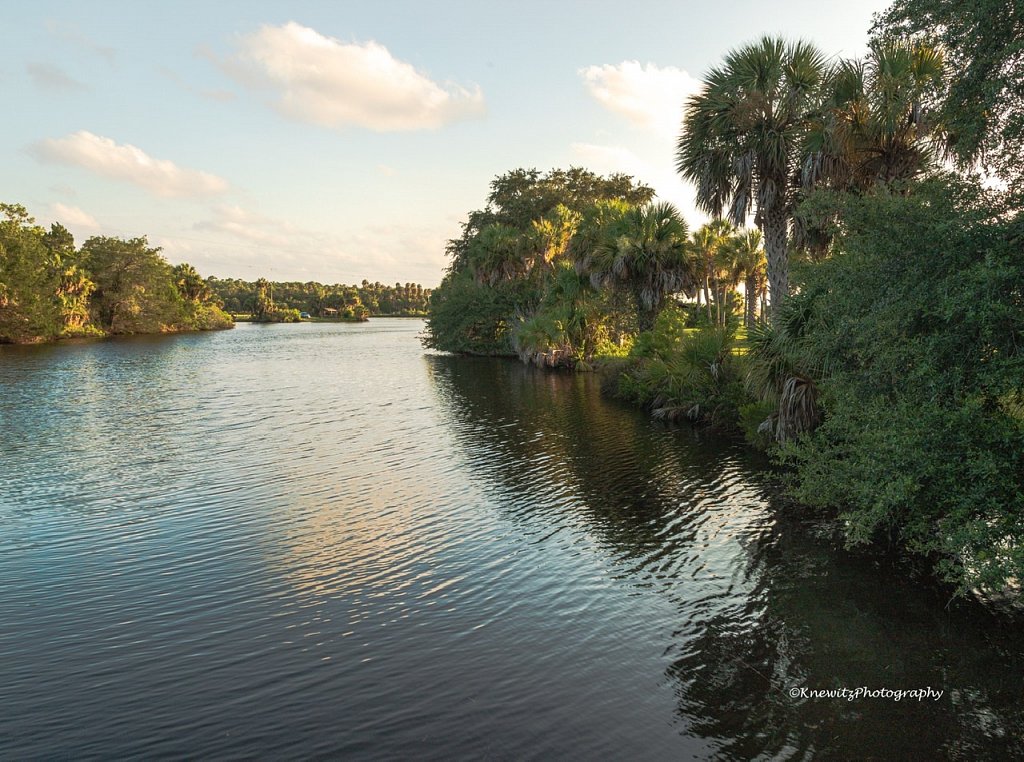 Beautiful Florida Nature