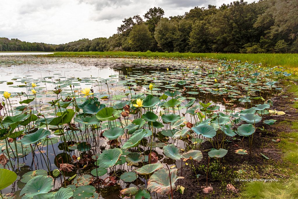 McKethan Lake