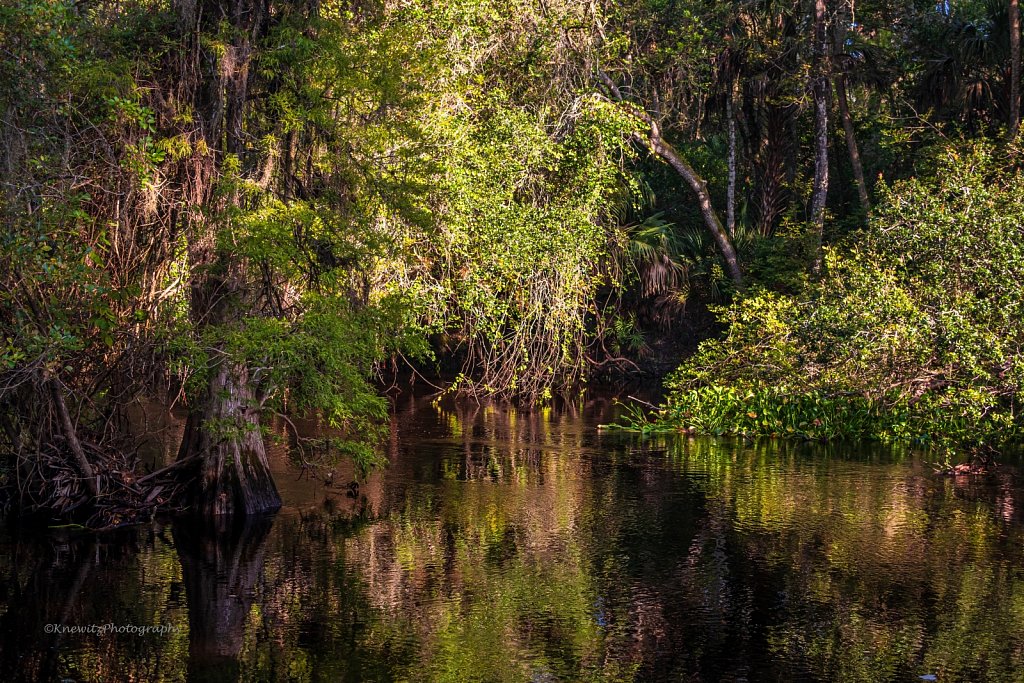Hillsborough River