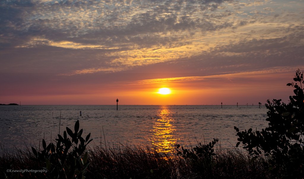 F7457AC7-5CAA-453B-81EC-A0964282A37B.jpeg