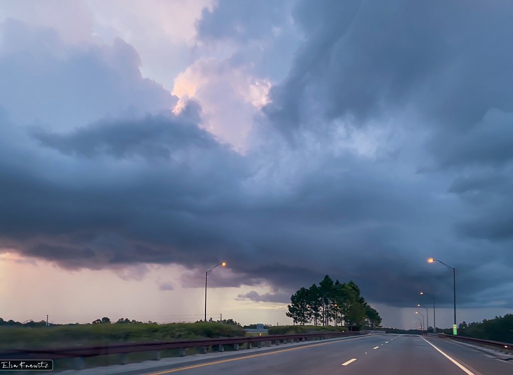 Florida Storm