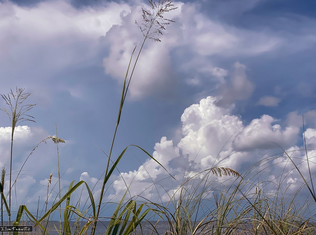 Thunderheads over the Gulf