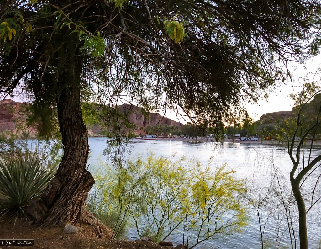 Afternoon at the River
