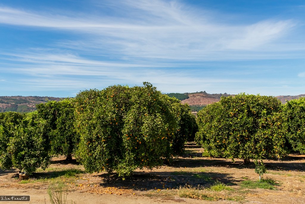 Pauma Valley in CA