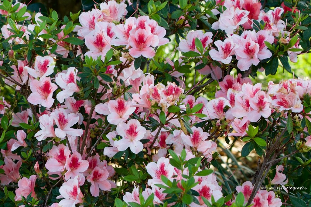 731FF687-FCDF-4CB0-BE69-ACDD1397F946.jpeg