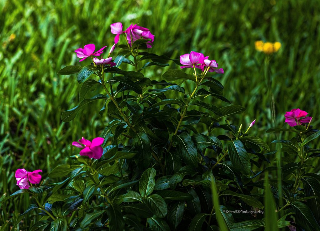 487A6859-65D0-4BCF-8D37-6746447685AC.jpeg