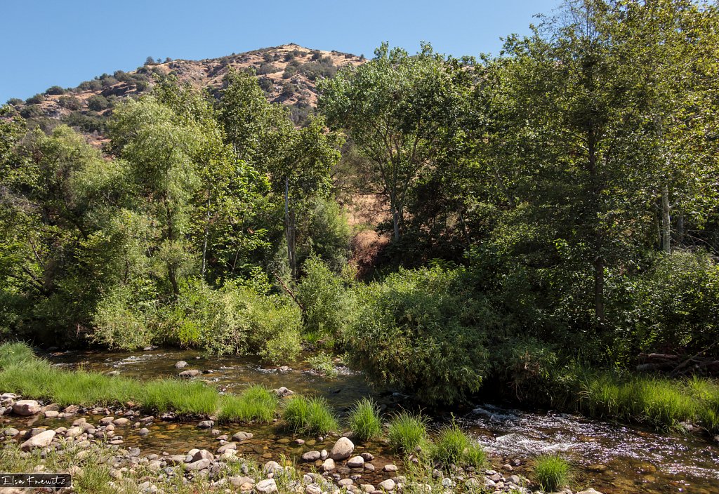 Mankins Creek, CA