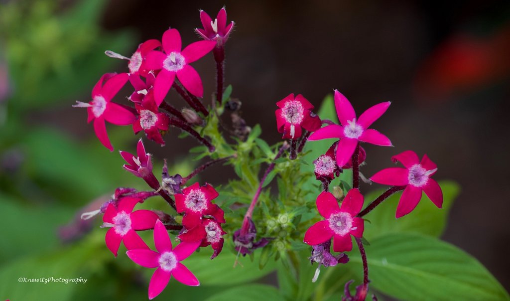 54B14C0F-2F84-45E8-805D-6F2854AA5CB5.jpeg