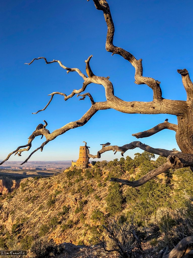 Watchtower at Desert View