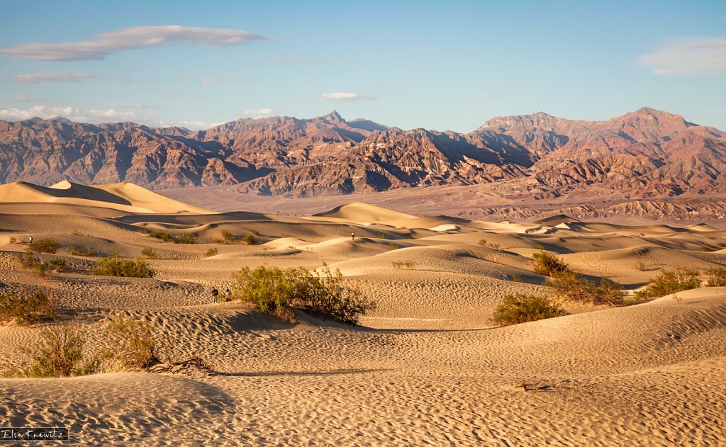 Mesquite Flat Sand Dunes