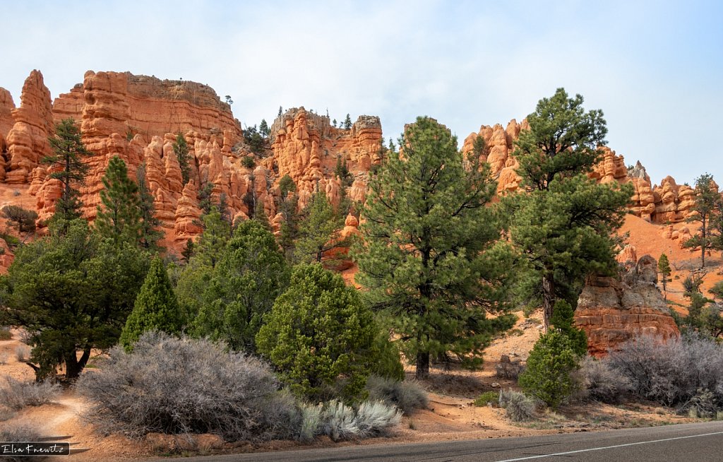 The  Courtyard of the "Royals" of Red Canyon