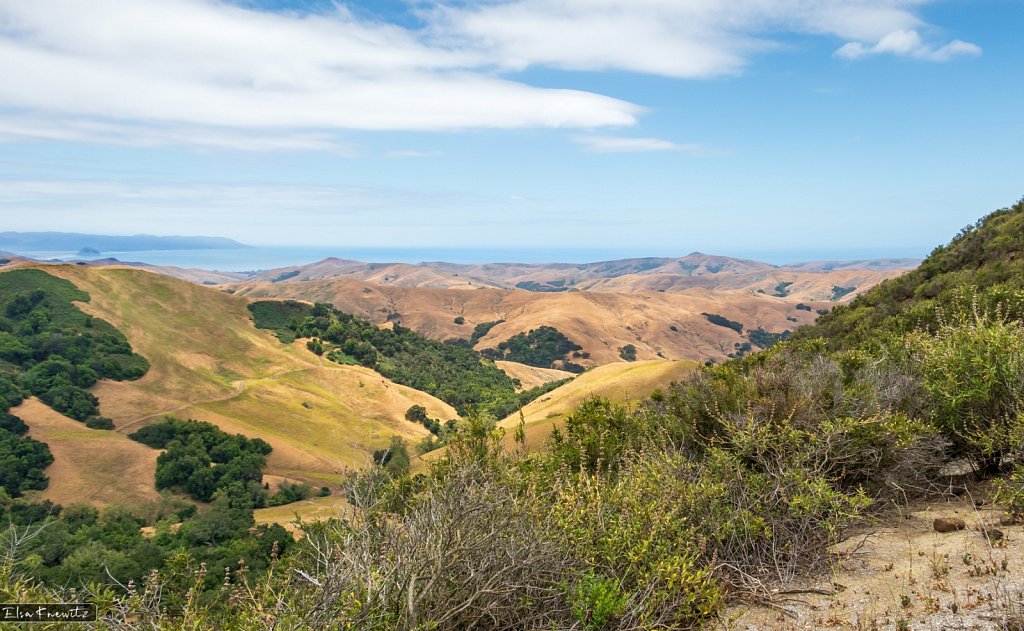 Beautiful California