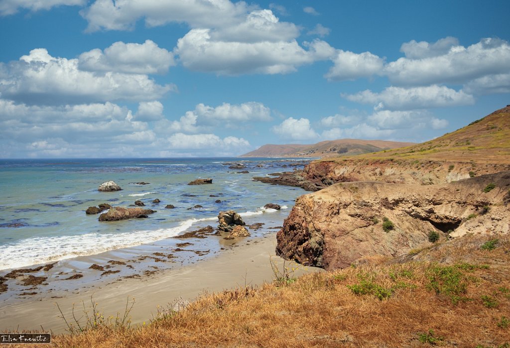 Wild California Coast