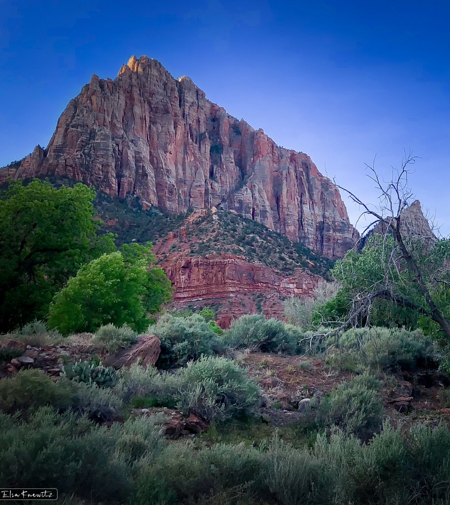 Blue Hour at Zion Park