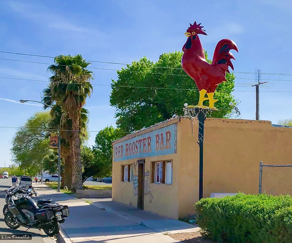Red Rooster Bar