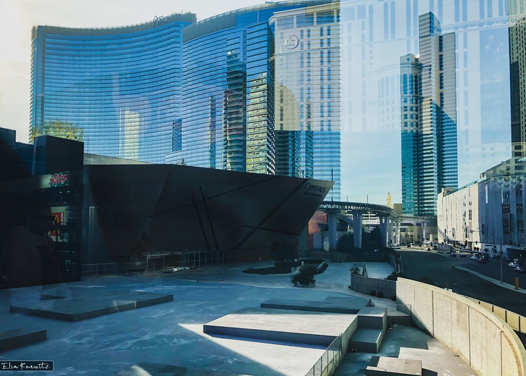 Las Vegas Reflections