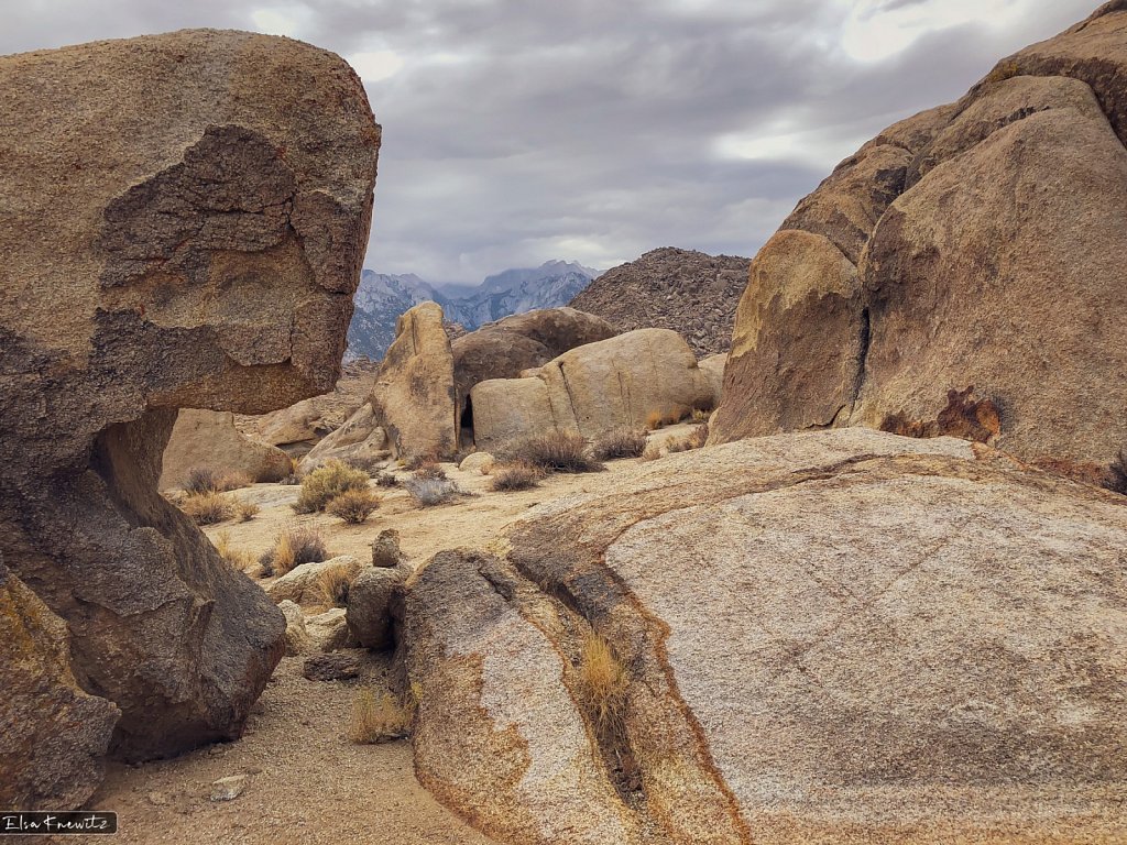 Bizarre Rocks