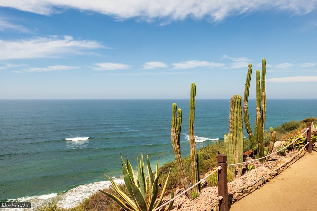 Pacific Ocean View