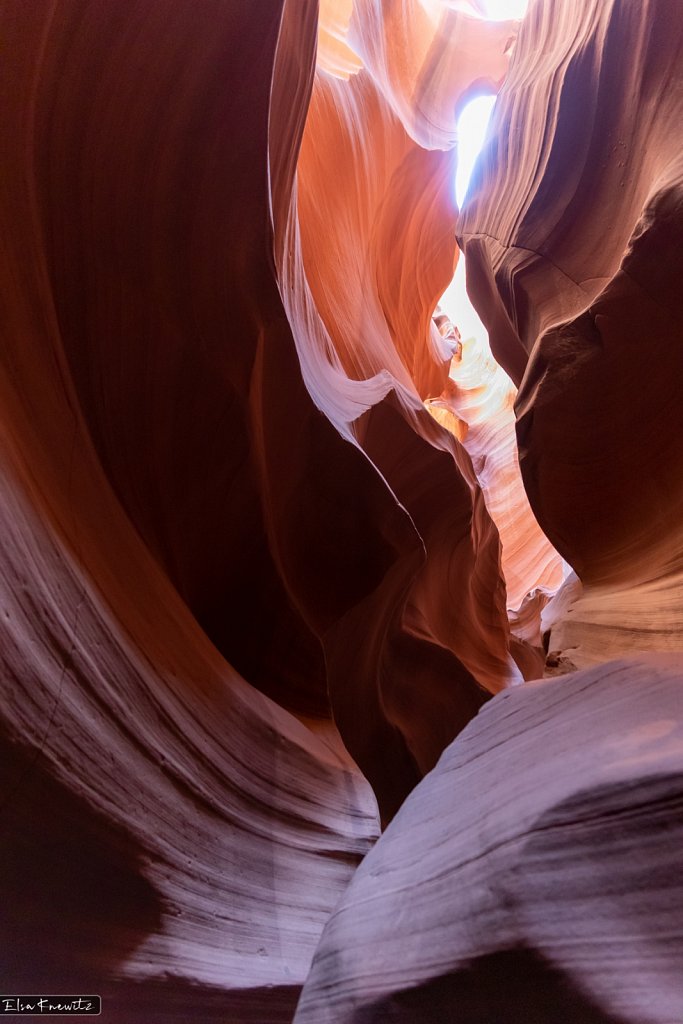 Flowing Forms