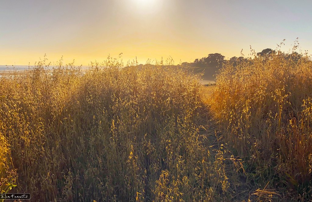 View into the Sunlight
