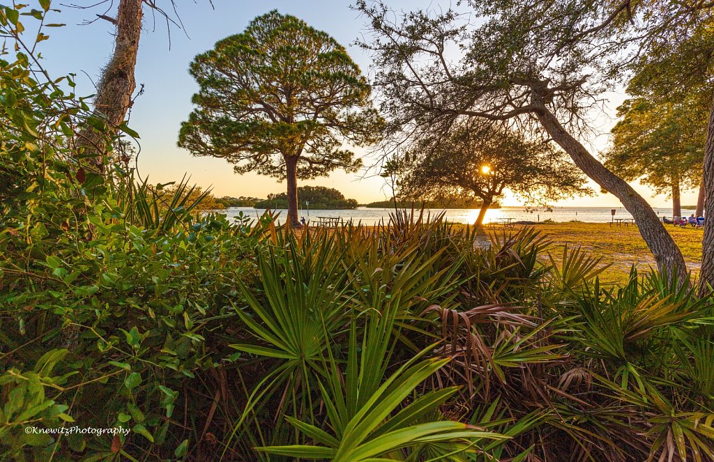 Tarpon Springs