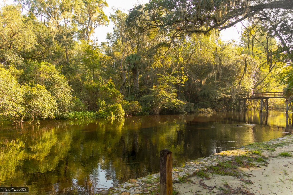 Hillsborough River