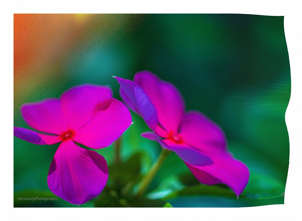Magnificent Nature