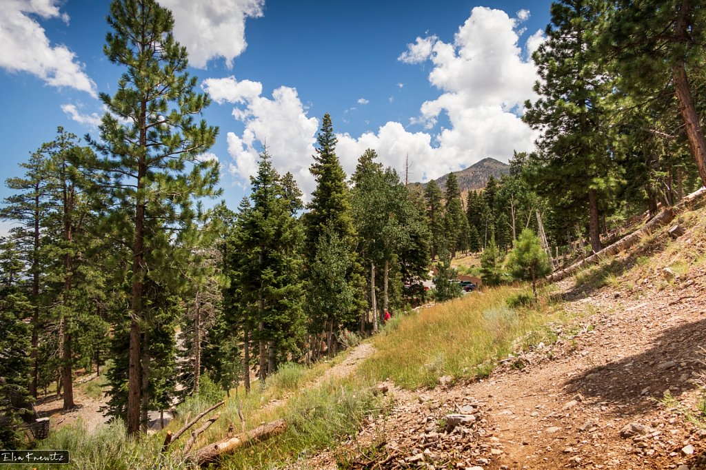 Mount Charleston, Las Vegas