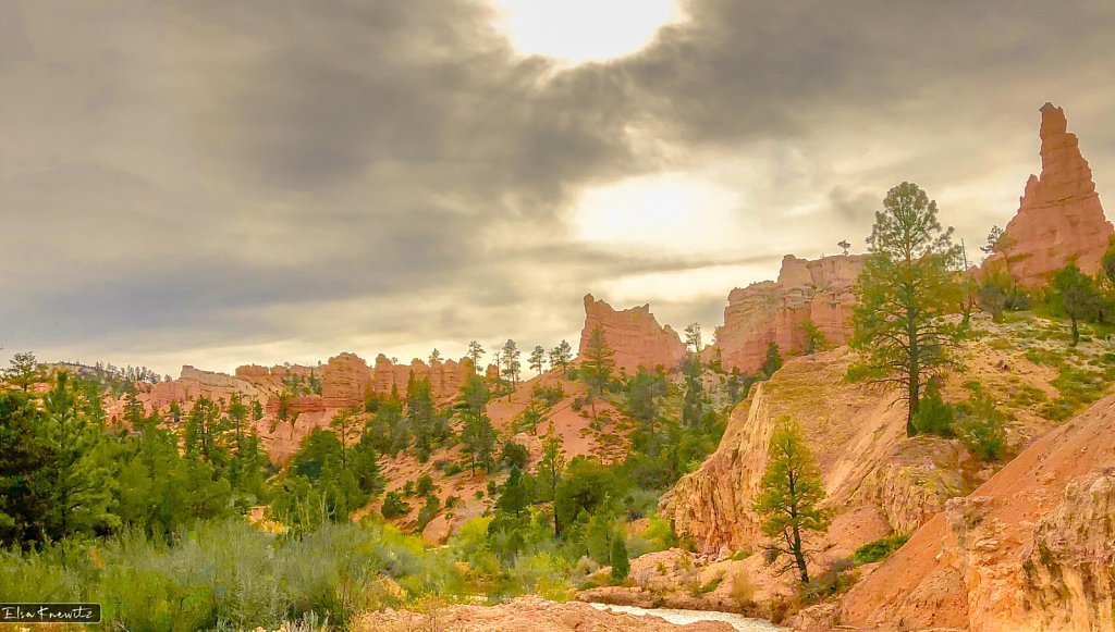 Springtime at Red Rock Canyon.