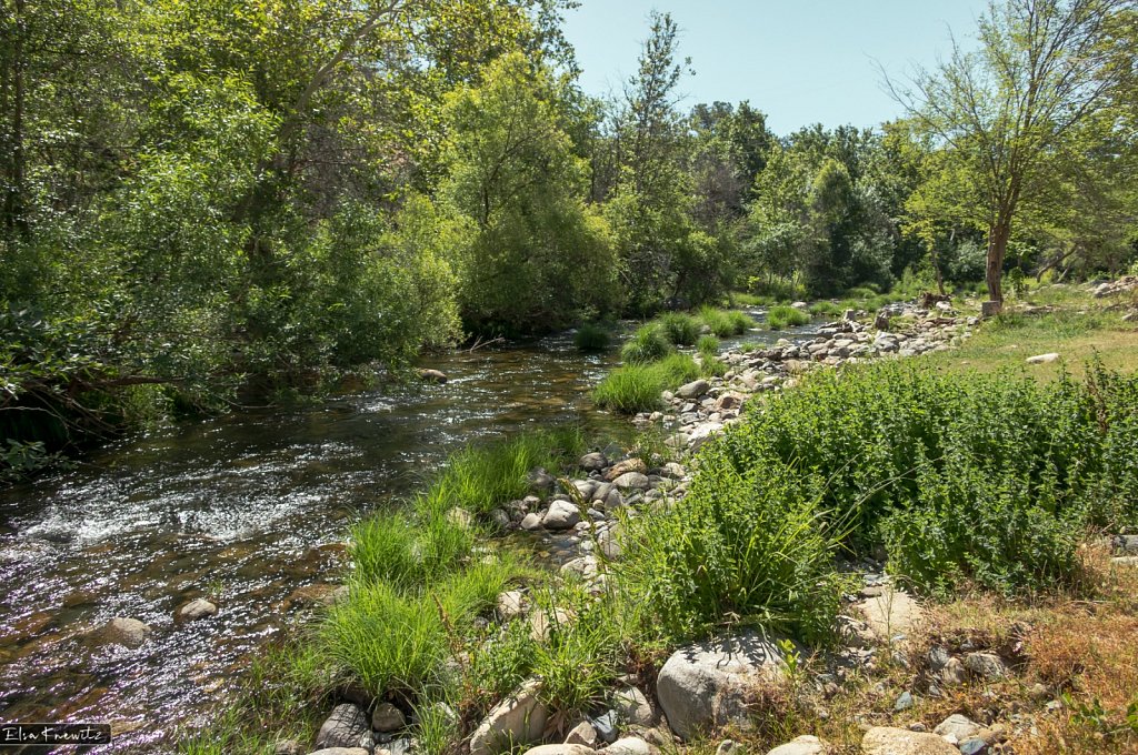 Sunny Morning at the Creek