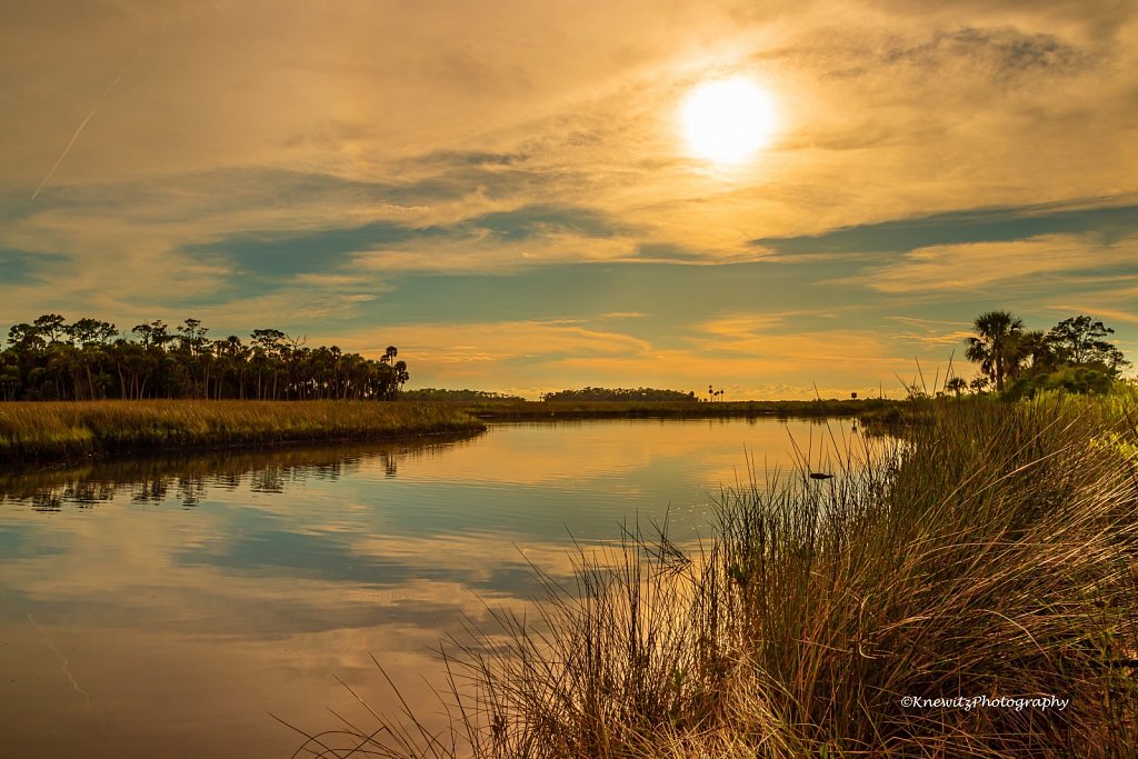 Jenkins Creek