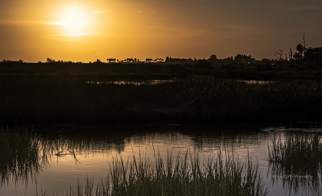 Florida Wetlands