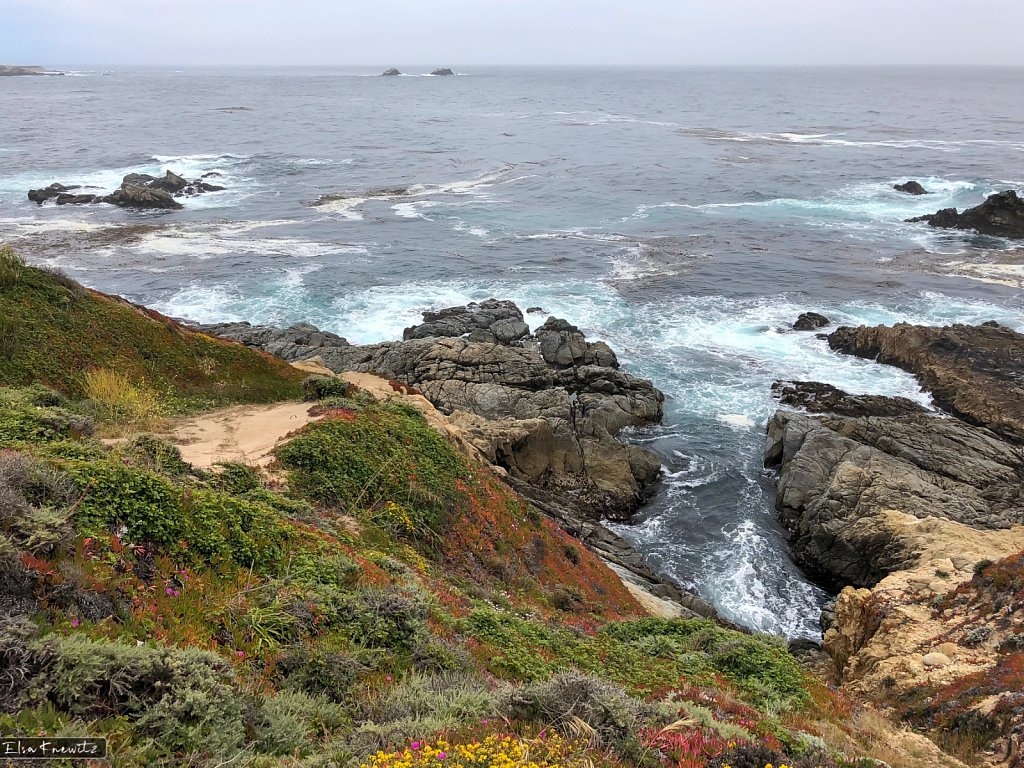 Cabrillo Highway