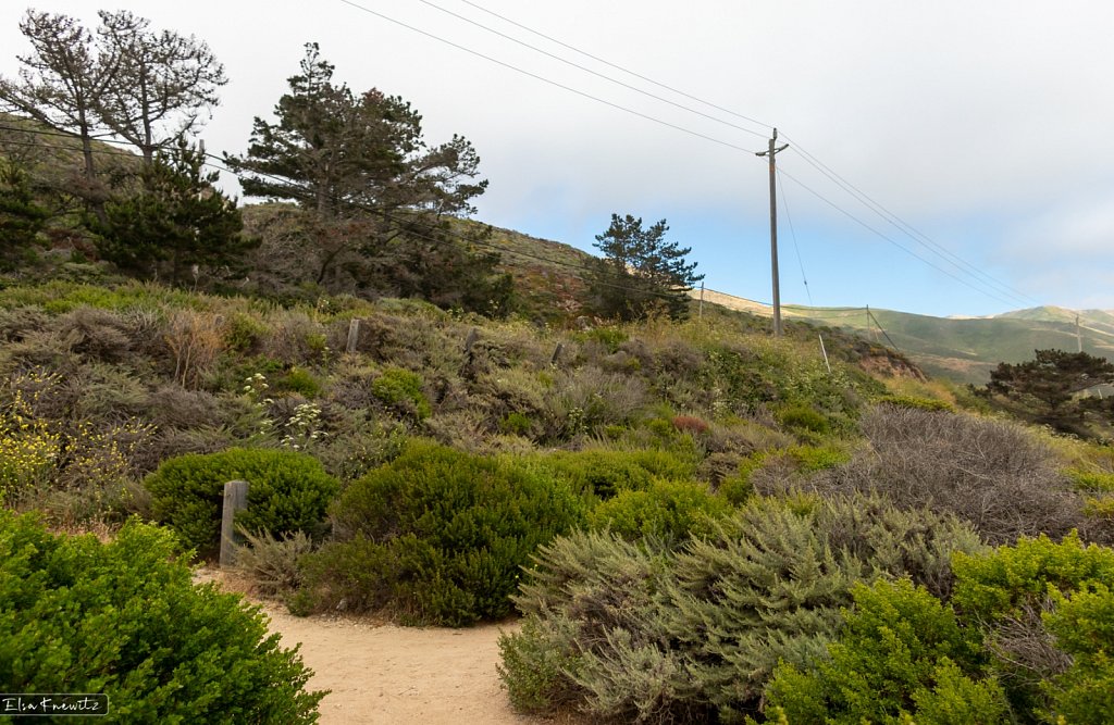 Hiking Trail