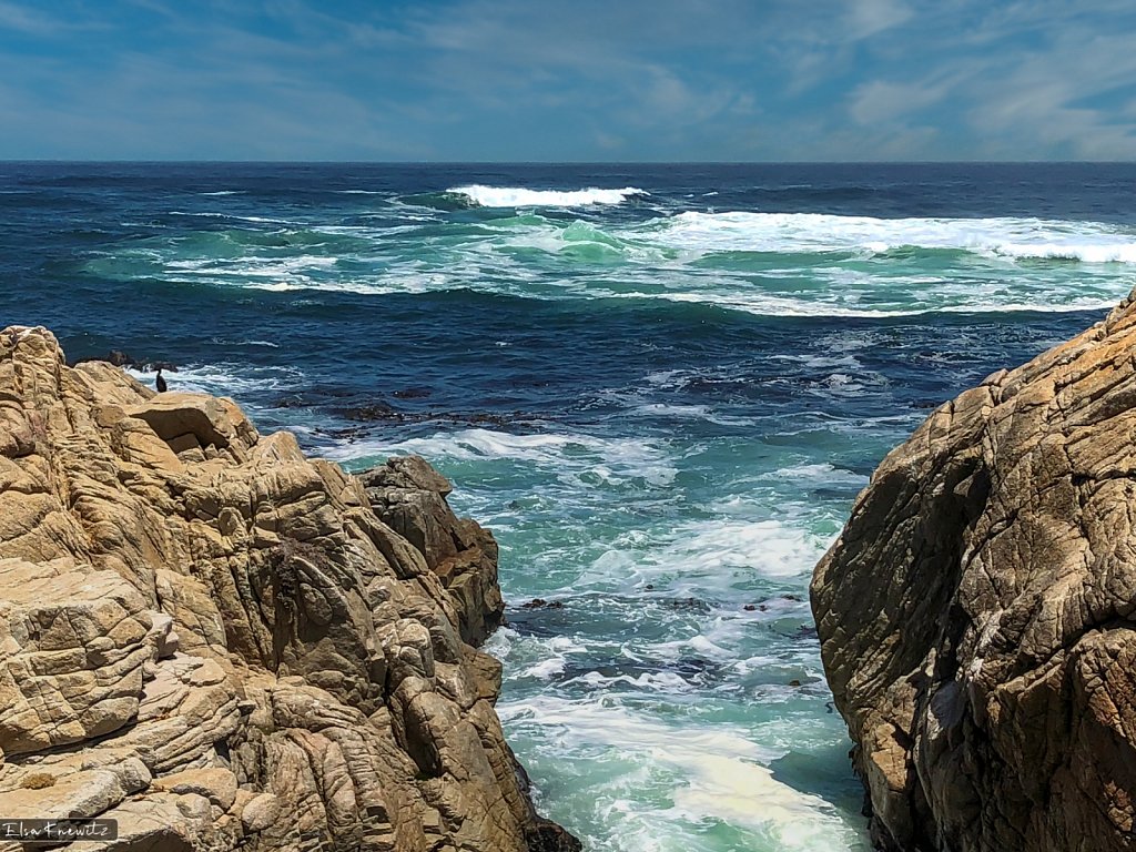 Wild Pacific Ocean