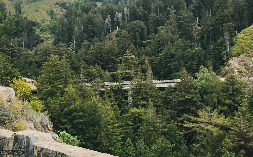 Another Curve on Hwy 1