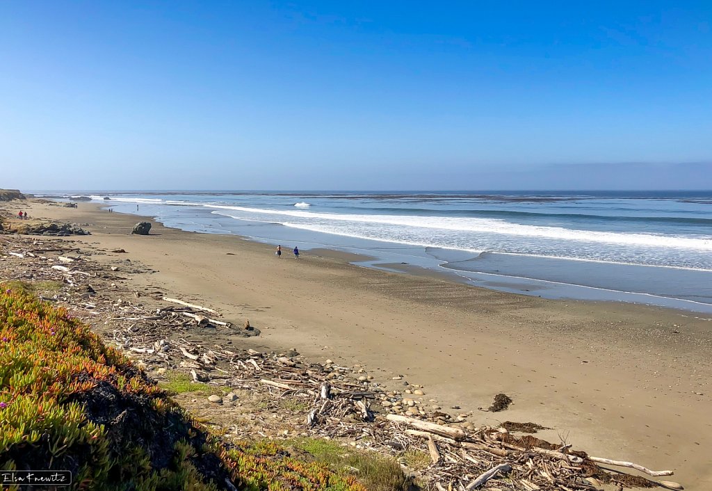 Natural Wild Beach