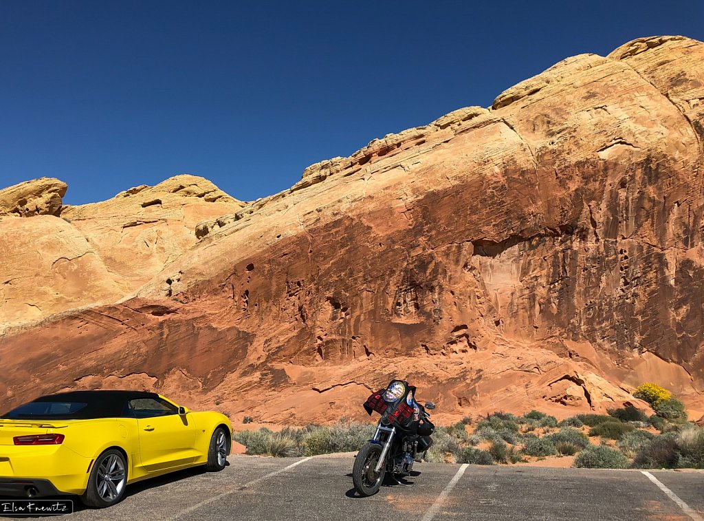 Yellow in the Valley of Fire