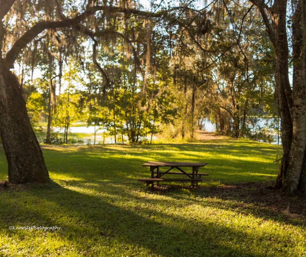 Park Bench