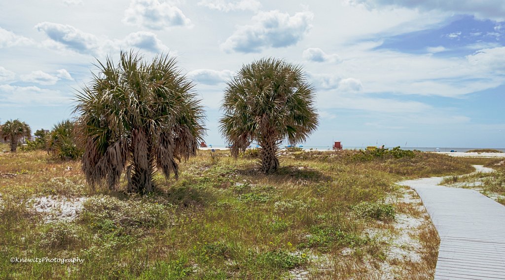 Sand Key Beach