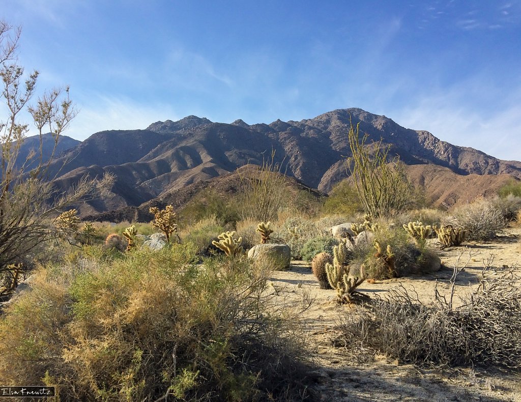 Anza Borrego State Park
