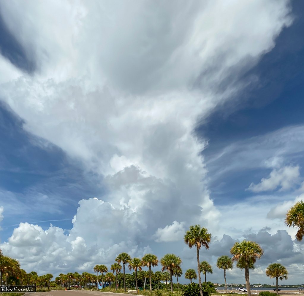 Tarpon Springs Beach
